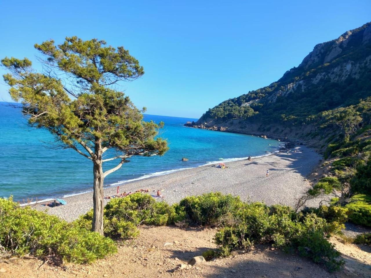Апартаменты Dreamy Seaside Бари-Сардо Экстерьер фото